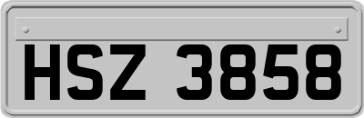 HSZ3858