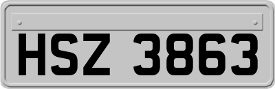 HSZ3863
