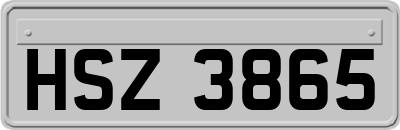 HSZ3865
