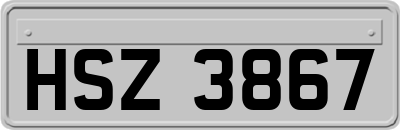HSZ3867