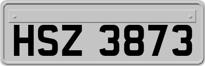 HSZ3873