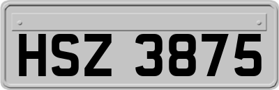 HSZ3875
