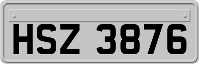 HSZ3876