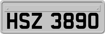 HSZ3890
