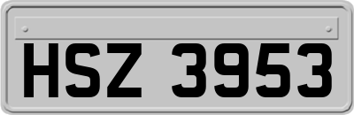 HSZ3953