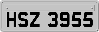 HSZ3955