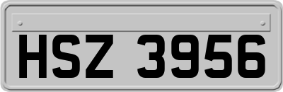 HSZ3956