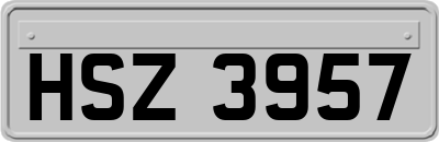 HSZ3957