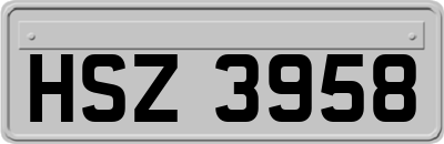 HSZ3958
