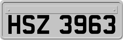 HSZ3963