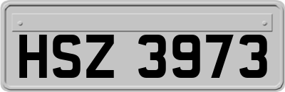 HSZ3973