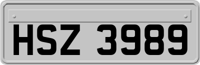 HSZ3989
