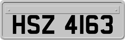 HSZ4163