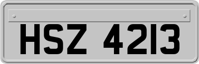 HSZ4213