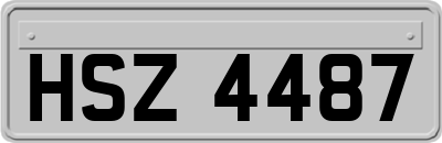 HSZ4487