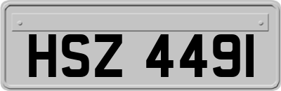 HSZ4491