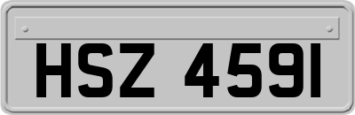 HSZ4591