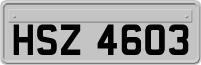 HSZ4603