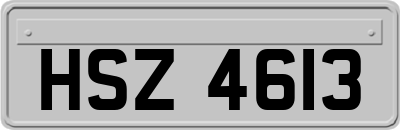 HSZ4613