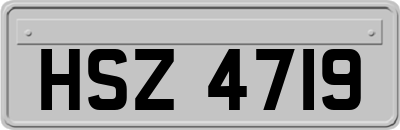 HSZ4719