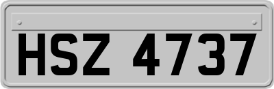 HSZ4737