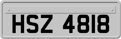 HSZ4818