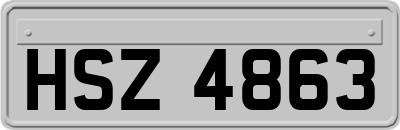 HSZ4863