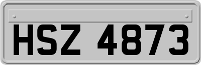 HSZ4873