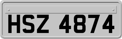 HSZ4874