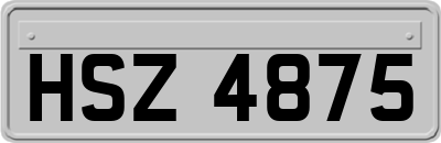 HSZ4875