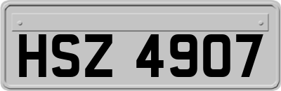 HSZ4907