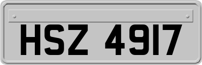 HSZ4917