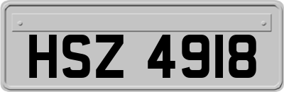 HSZ4918