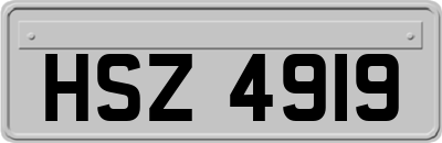 HSZ4919