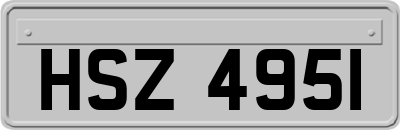 HSZ4951