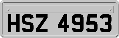 HSZ4953
