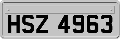 HSZ4963