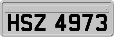 HSZ4973