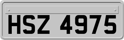 HSZ4975