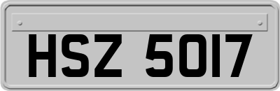 HSZ5017