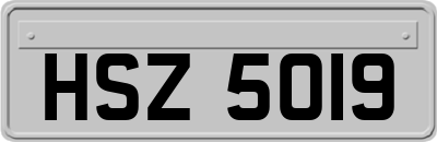 HSZ5019