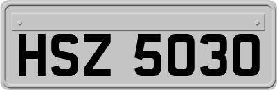 HSZ5030