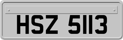 HSZ5113