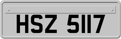 HSZ5117
