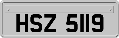 HSZ5119