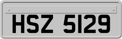 HSZ5129