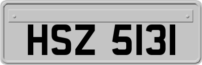 HSZ5131