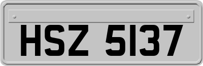 HSZ5137