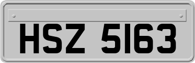 HSZ5163