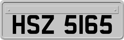 HSZ5165